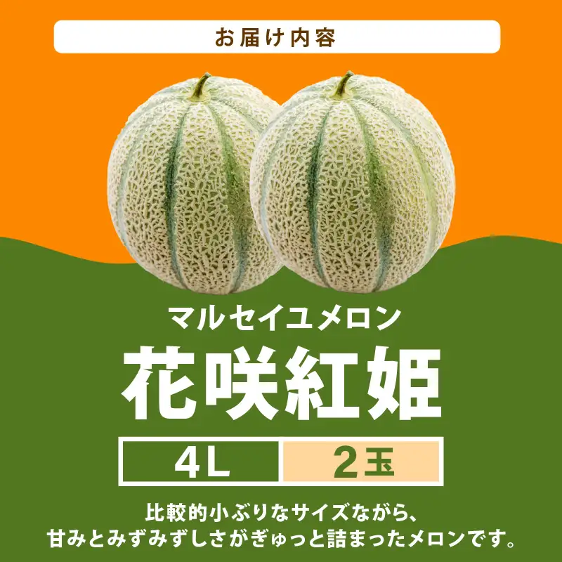 【先行予約】マルセイユメロン 2玉入 4Lサイズ ／ メロン フルーツ 果物 赤肉 花咲紅姫 贈答用 プレゼント 贈り物 国産 期間限定 産地直送 人気 ※2027年6月中旬より順次発送 [aw003-a007]