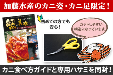 カニ 訳あり ボイル ズワイガニ足 2kg 期間限定 約4-6人前 ずわい蟹 食べ方ガイド・専用ハサミ付 数量限定 カニ かに 蟹 海鮮 送料無料 北海道 弟子屈町 2553