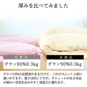 【春夏用】洗える羽毛肌掛け布団シングルサイズダウン90%0.3kgダウンケット洗濯可能グレー　国産【1301103】