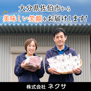 【試食用チキンカツ付】 ＜訳あり・お試し用＞地魚フライセット詰合せ (計4P・3種類以上) おかず おつまみ 惣菜 お惣菜 お弁当 詰め合わせ アジフライ さば 鯖 あじ 鯵 ぶり 鰤 冷凍 時短 小分け 魚 魚フライ ふるさと納税 【DH209-G】【ネクサ】
