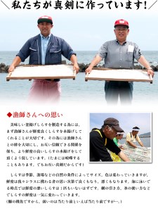 甲羅組 天然 釜揚げしらす 約500g 2袋 合計 約1kg (a10-807)