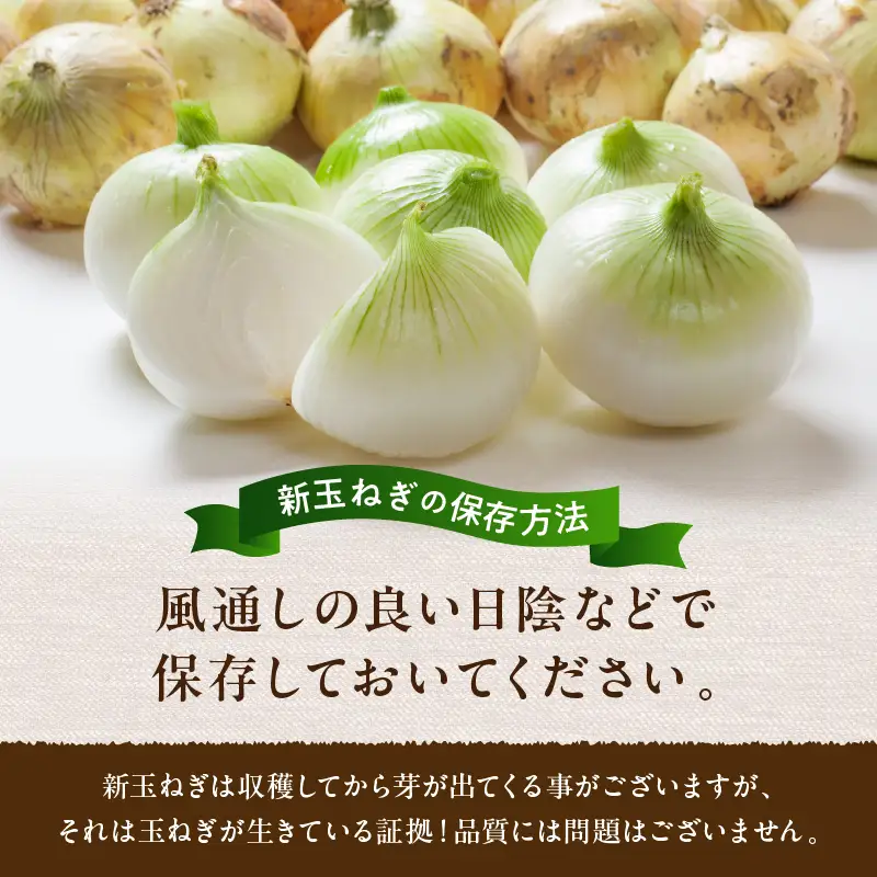 【玉ねぎ】訳あり 新たまねぎ 7kg | 玉ねぎ