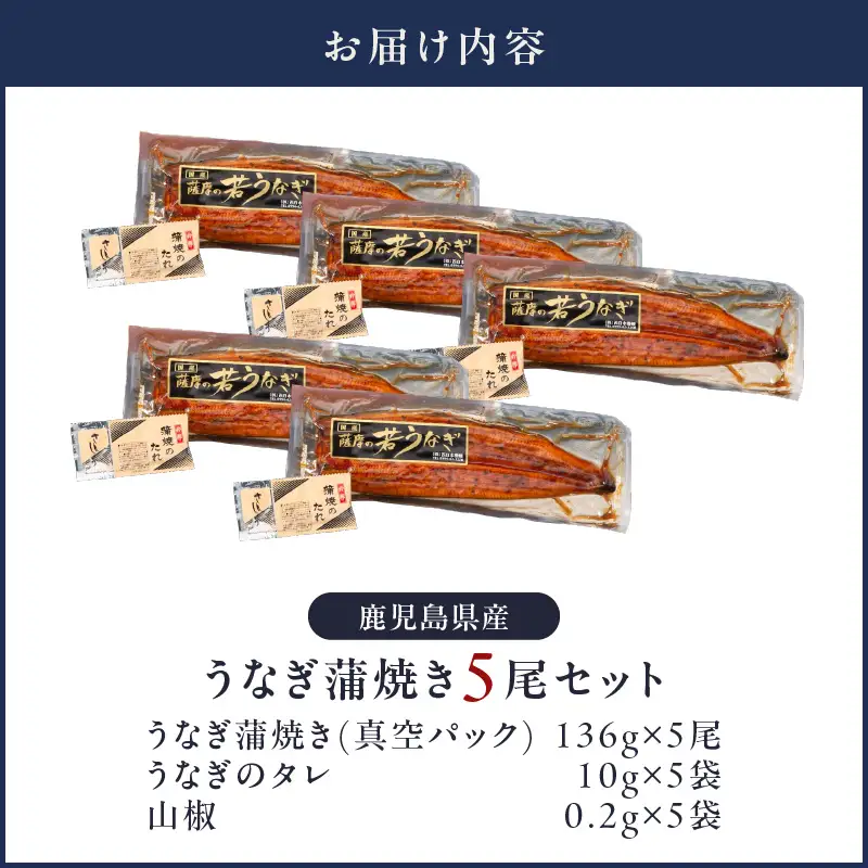  1651-1 鹿児島県産 うなぎ蒲焼き 5尾セット KN058-002-05 魚 鰻