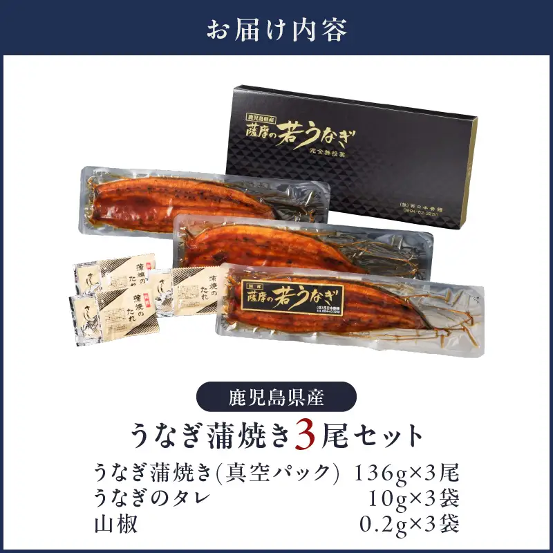 【 土用の丑の日特集 】 1653-1 鹿児島県産 うなぎ蒲焼き3尾セット KN058-002-03 魚 鰻