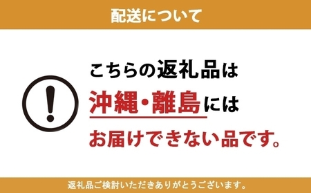 ボックスティッシュ ブライティアソフト 日本製 ボックスティッシュ【200組400枚×60箱】【定期便 3ヵ月連続 全3回】