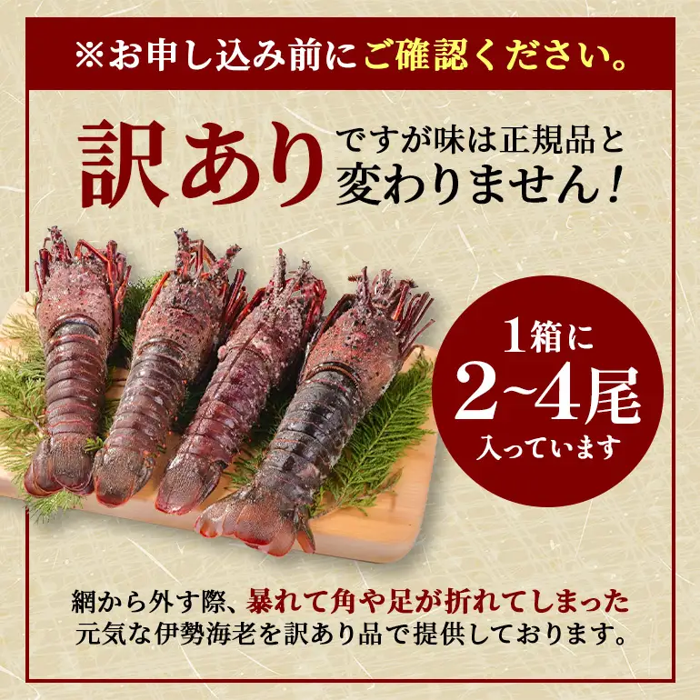 活冷伊勢えび 2～4尾（600g）バタバタしたら角と足がとれちゃいました　【BB25】