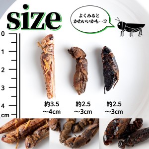 isa385 むしカフェ・昆虫食べ比べ3種！(各種3g)昆虫食 コオロギ バッタ おやつ スナック菓子 栄養 甲殻類【いさ工房】