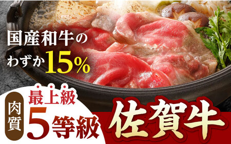 【全12回定期便】 佐賀牛 A5 極上定期  [HAD114]佐賀牛