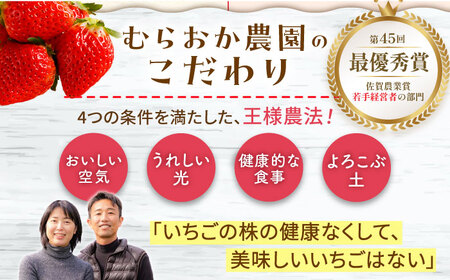 【先行予約】【11月下旬?12月発送】王様のいちごさがほのか400g×2箱むらおか農園 HAF002 いちご フルーツ 果物