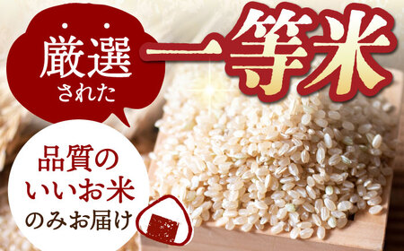 【全6回定期便】江北町産 1等米 夢しずく 玄米5kg【葦農】 [HAJ017]玄米 玄米 玄米 玄米