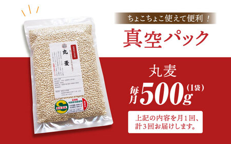 【全3回定期便】丸麦500g（1等麦使用）【葦農】 HAJ040 