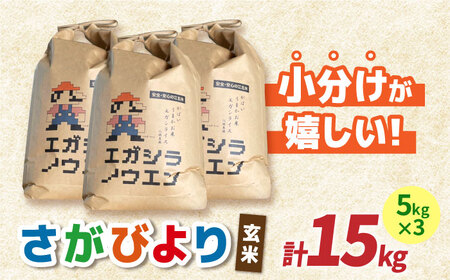 【先行予約】令和6年産  さがびより 玄米15kg（5kg×3袋）【江頭農園】 [HAU001]特A 特A評価 コメ お米 特A米
