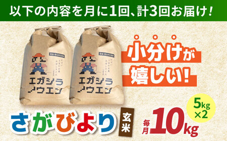 【全3回定期便】さがびより 玄米 10kg（5kg×2袋）【江頭農園】  [HAU006]特A 特A評価 コメ お米 特A米
