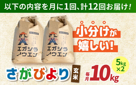 【全12回定期便】さがびより 玄米 10kg（5kg×2袋）【江頭農園】 [HAU008]特A 特A評価 コメ お米 特A米