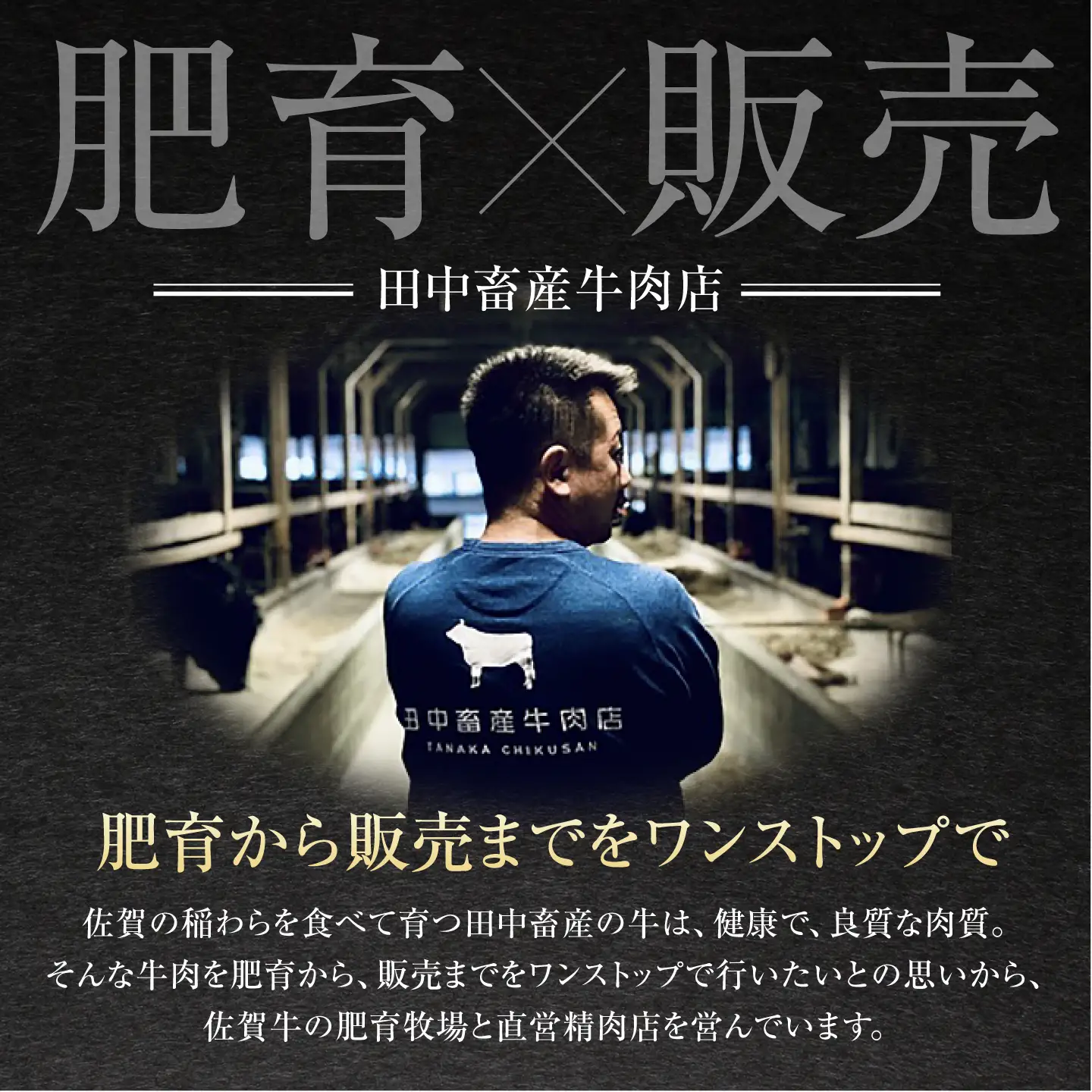 【全6回定期便】佐賀牛 肩ローススライス500g HBH013 すき焼き 国産 和牛 佐賀牛 黒毛和牛 すき焼き