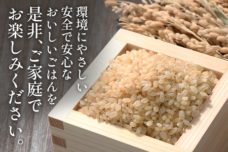 令和8年産 予約 合鴨米「元気つくし」（玄米・5ｋｇ）定期便12回コース　BI11　