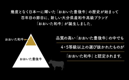 ステーキ おおいた和牛サーロイン ステーキ (200g×2枚)