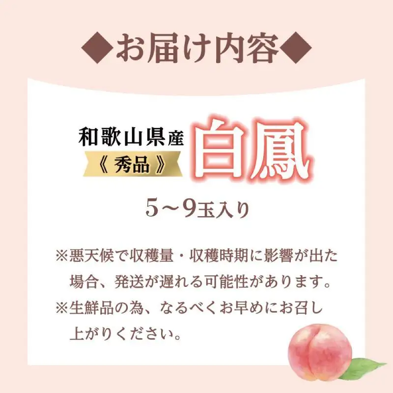 和歌山県産 白鳳 桃 5～8玉入り 秀品 先行予約［2027年6月下旬以降発送］［MG6］