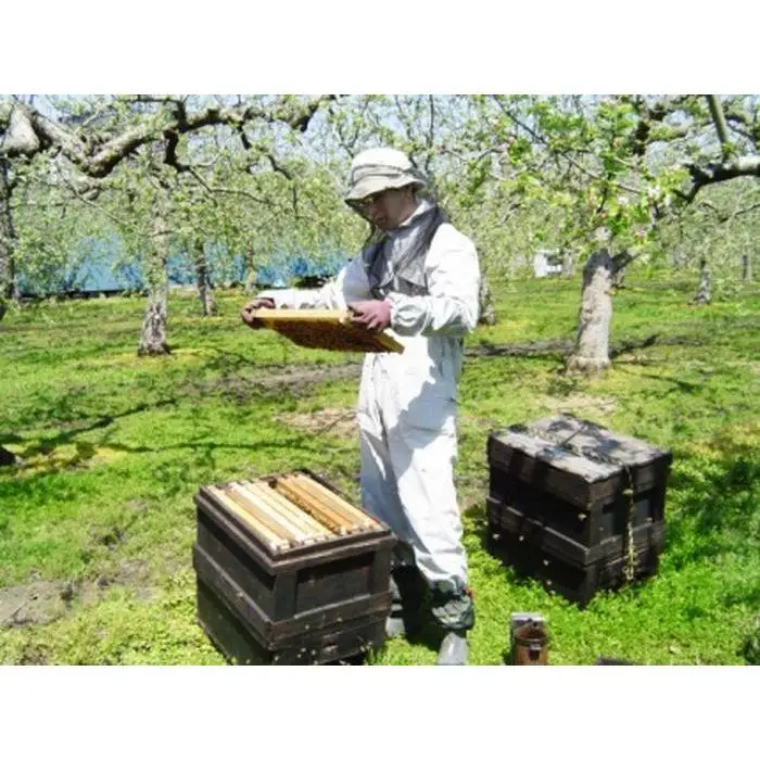【国産高級蜂蜜】富山県産レンゲ蜂蜜500ｇ　2本セット