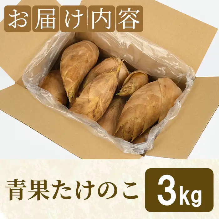 ＜先行予約受付中！2027年2月下旬以降順次発送予定＞ 【平日着】朝堀り青果たけのこ(約3kg) 国産 新鮮 タケノコ 青果 竹の子 筍 野菜 春 旬 期間限定 数量限定 【上野食品】akn008-19-A