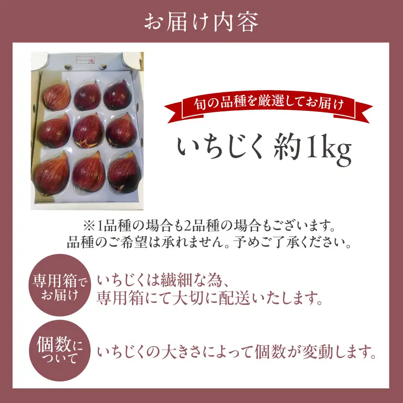 ふんわり柔らか朝どり完熟いちじく｜無花果 イチジク 果物