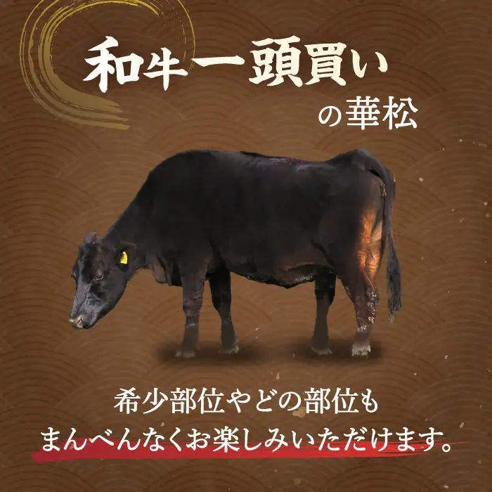 佐賀牛 希少部位含むおまかせ焼肉セット3種400g牛肉 希少 赤身 カルビ[FAY064]