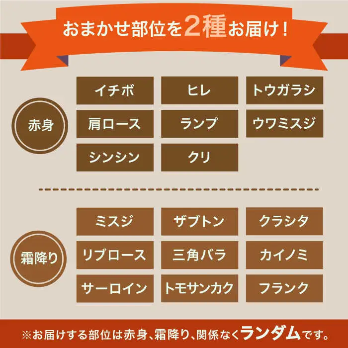 【全12回定期便】1ヶ月に1度の佐賀牛ひとり贅沢コース ステーキ/焼肉/スライス牛肉 希少 赤身 カルビ ヒレ サーロイン モモ 切り落とし[FAY067]
