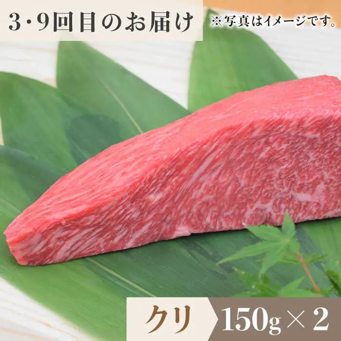【全12回定期便】佐賀牛希少部位?ひとり贅沢ステーキコース? イチボ/ランプ/ミスジ/クリ/サーロイン/シャトーブリアン【ミートフーズ華松】 ブランド 高級 和牛 霜降り やわらか 冷凍 料理  精肉 牛肉 希少 赤身 イチボ ランプ ミスジ [FAY070]