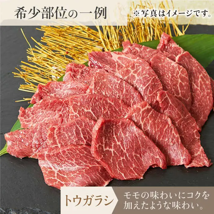 【全3回定期便】佐賀牛希少部位?ひとり贅沢焼肉コース? ランプ/クリ/トウガラシ/ザブトン/カイノミなど【ミートフーズ華松】 ブランド 高級 和牛 霜降り BBQ やわらか 冷凍 料理  精肉 牛肉 希少 赤身 イチボ ランプ ミスジ [FAY071]