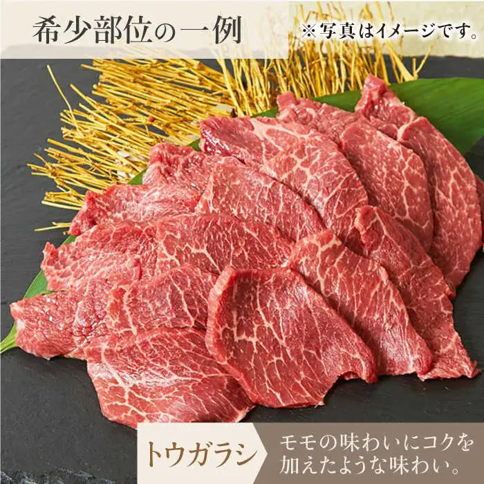 【全12回定期便】佐賀牛希少部位含む?ひとり贅沢焼肉コース? ランプ/クリ/トウガラシ/ザブトン/カイノミなど【ミートフーズ華松】 ブランド 高級 和牛 霜降り BBQ やわらか 冷凍 料理  精肉 牛肉 希少 赤身 イチボ ランプ ミスジ [FAY073]