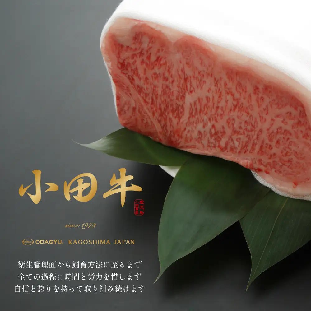 【プレミアムブランド】鹿児島県産黒毛和牛「小田牛」 リブステーキ 計400g（約200g×2枚） ステーキ 焼肉 小田畜産 黒毛和牛 リブ ロース BBQ バーベキュー お肉 冷凍 ギフト 贈答 南さつま市