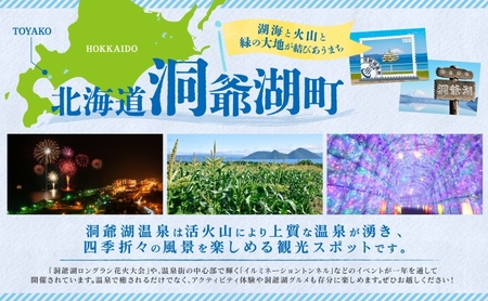 洞爺湖温泉 サプライズ花火 打ち上げ券 約150発程度 花火大会 サプライズ 花火 イベント チケット 記念日 お祝い 旅行 特別 記念 カップル 誕生日 思い出 北海道 洞爺湖町 ふるさと納税 洞爺湖 観光 体験 絶景 アクティビティ 旅 トラベル