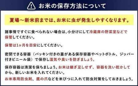 元気つくし 15kg 米 福岡 お米 こめ コメ 精米 白米 国産 九州