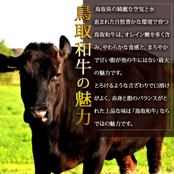 【A5】鳥取和牛ふぞろい焼肉切り落とし 500g【肩ロース サーロイン 三角バラ ランプ ヒレ ランダム 焼き肉 やきにく 切落し 切り落し 和牛 不揃い ご自宅用 ギフト 熨斗 プレゼント お取り寄せ グルメ 冷凍】