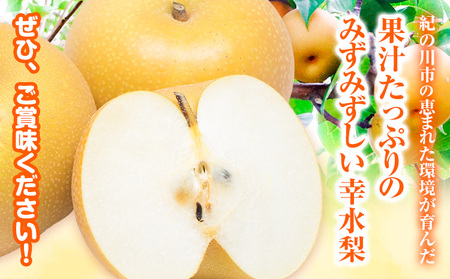 幸水 梨 約4kg