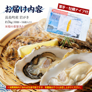 夏に美味い岩がき 約3.0kg （殻の重量含む）【錦盛丸水産】kinsei-7169