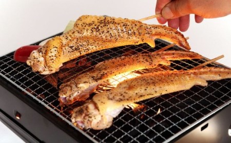 天草大王【アウトドアセット】幻の鶏 キャンプ BBQ 骨付きもも肉 500g !! 大手羽先 ソーセージ ブツ切り ミックス セット