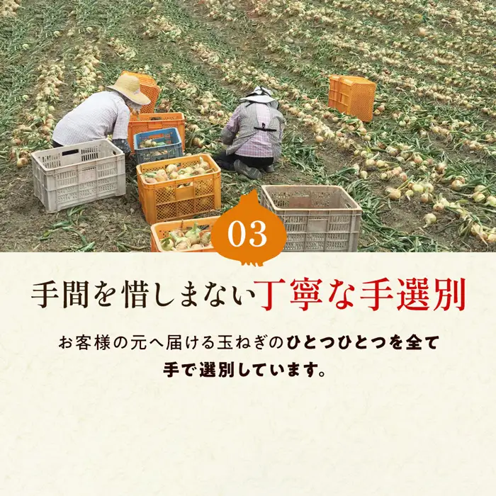 今井ファームの淡路島たまねぎ「かくし玉」 2kg　玉ねぎ