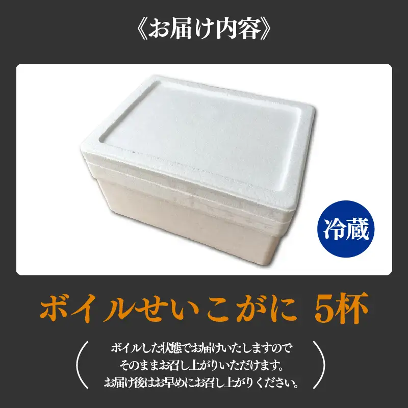 【先行予約】ボイルせいこがに 5杯 《 獲れたての味！》 ／期間限定 茹で ボイル 冷蔵 蟹 カニ 福井県 あわら市 海鮮 冬 旬 ※2026年11月中旬～2026年12月下旬の間で順次発送 [aw002-x001]