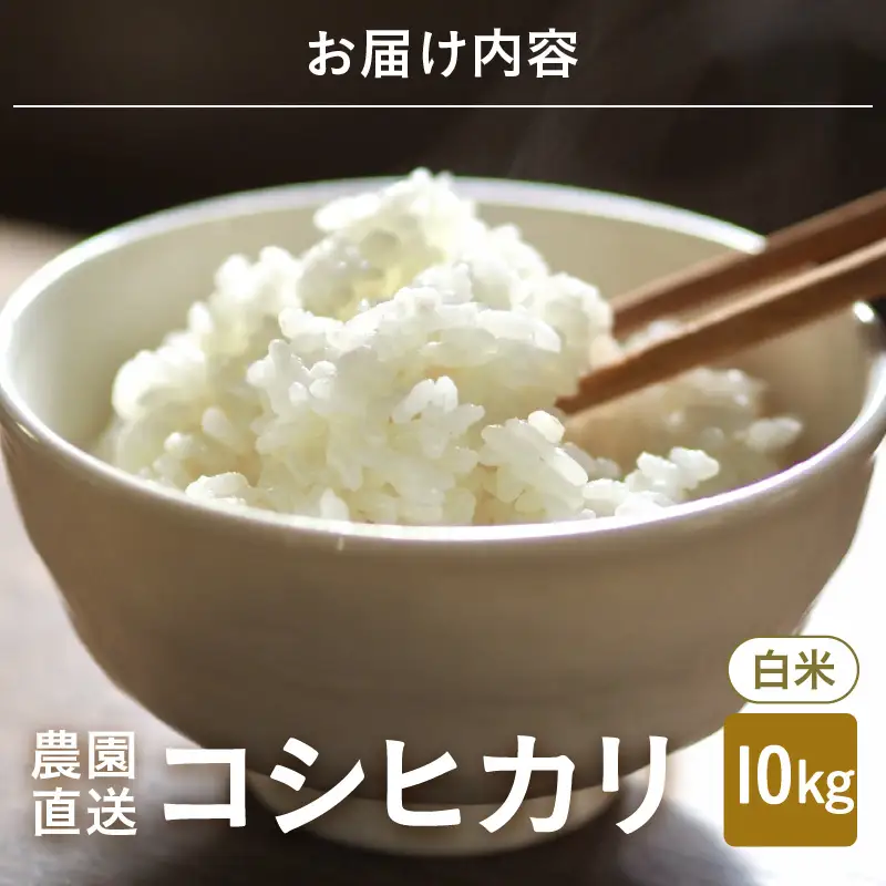 【先行予約】【令和8年産・新米】白米10kg×1袋 福井県産 コシヒカリ10kg【2026年10月上旬以降順次発送】 [B-8918_01]