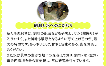 焼肉用 約1kg 常陸牛 茨城県産 黒毛和牛【トキワフーズ】025
