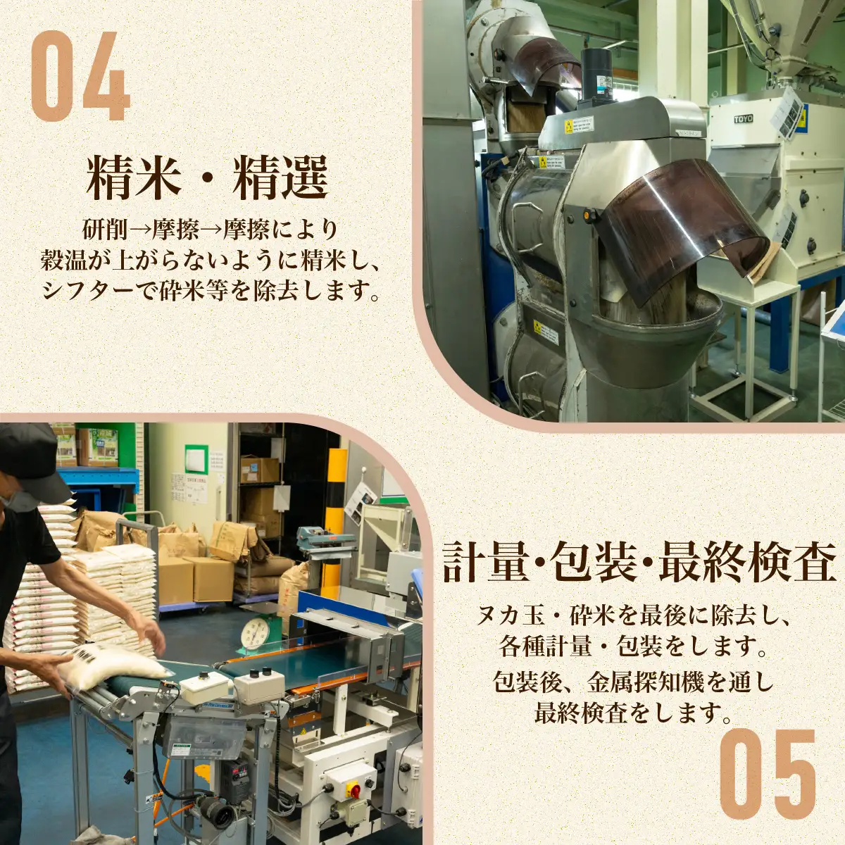 193【令和7年産】茨城県産 ふくまる 10kg(5kg×2袋)【石崎商店】