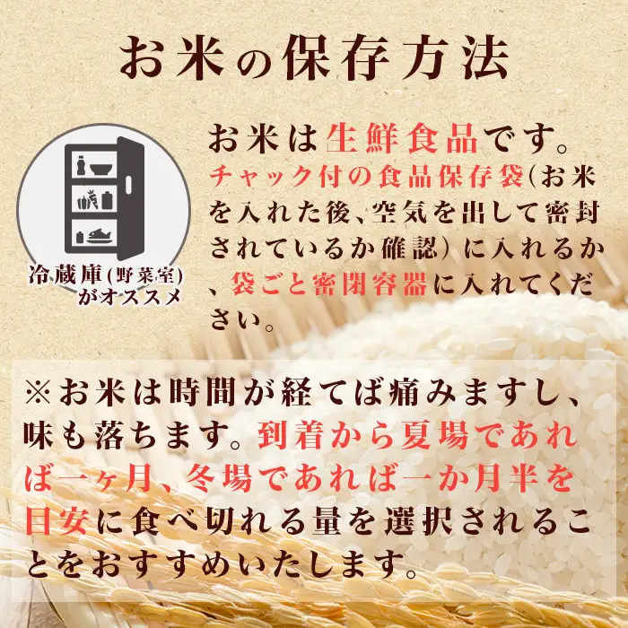 221-1【令和7年産】茨城町産 無洗米 ミルキークイーン 10kg(5kg×2袋)【野口ライス】