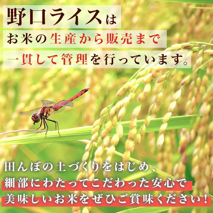 222-1【令和7年産】茨城町産 無洗米 ふくまる・ミルキークイーン セット 10kg(5kg×2袋)【野口ライス】