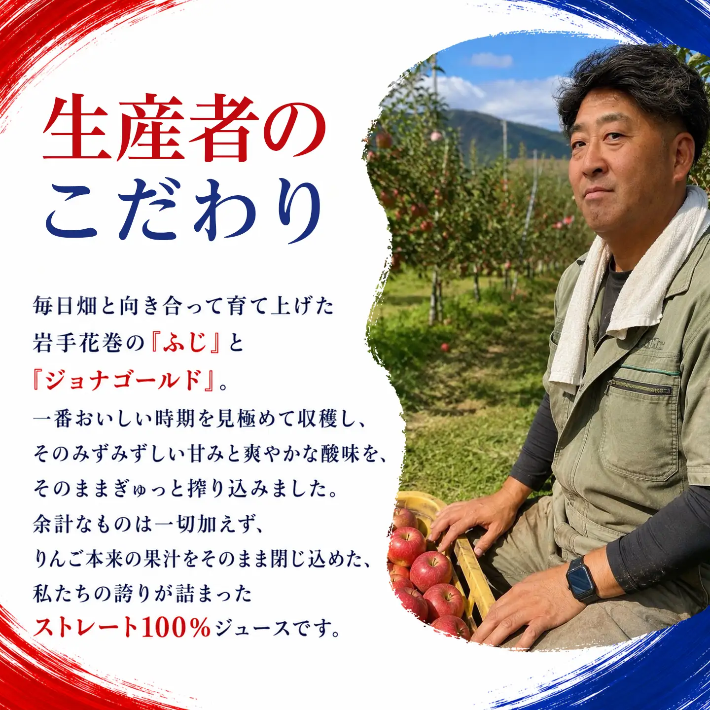 【スピード発送】りんご 花巻産りんごジュース30本セット【074-FN】