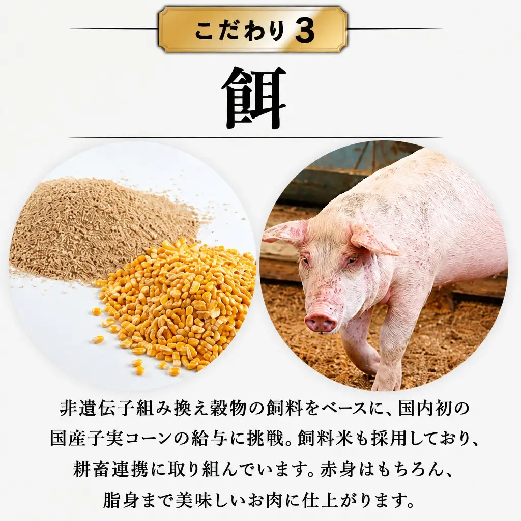 豚肉 ファミリーセットA1.2kg 白金豚肉 モモスライス・カレー用角切り 【561】