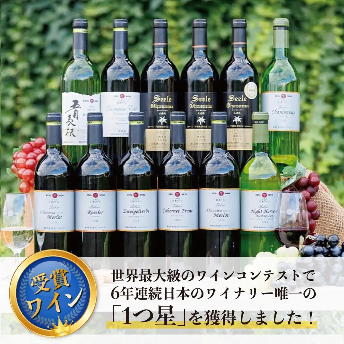 国際ワインコンクール受賞ワイン厳選赤白12本セット エーデルワイン 【752】