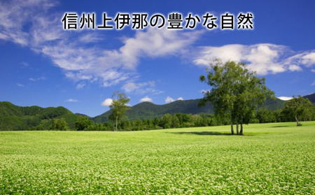 そば 生そば 4パック 100g 3袋 JA上伊那 伊那華の生そば めんつゆ付 蕎麦 半生そば 信州上伊那産そば粉 信濃一号 信濃夏そば 保存料不使用 香り高い風味 のど越しの良さ こだわりのつゆ 風味豊か 信州そば 和食 日本食 麺 麺類 食品 