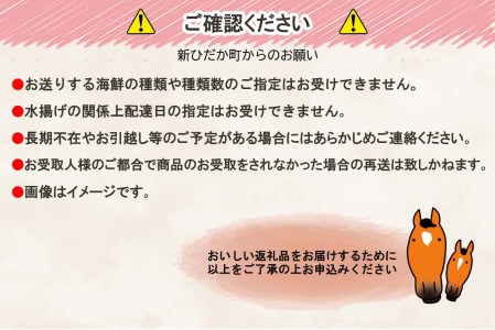 北海道産 旬の魚介 5種以上 豪華 お楽しみ詰め合わせ セット