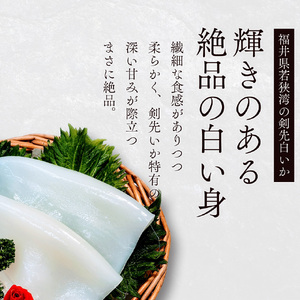 剣先イカ 3～6杯 スミ抜き 冷凍 剣先イカ